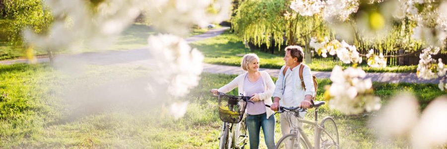Beautiful senior couple with bicycles outside in spring nature under blossoming trees.