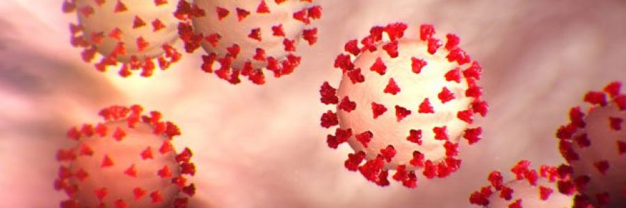 coronavirus-s1-what-is-coronavirus